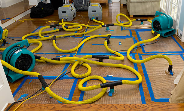 Professional Water Damage Repair technician working in McDonald, PA